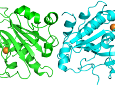新品上市：MULTITM Nuclease全能核酸酶