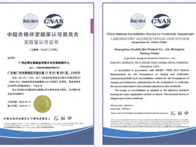喜報(bào) | 熱烈慶祝達(dá)博生物榮獲國(guó)家CNAS實(shí)驗(yàn)室資質(zhì)認(rèn)證！