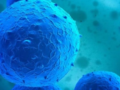 再傳喜訊！達博生物“人臍帶間充質干細胞注射液”獲臨床試驗默示許可