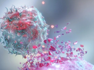 NK細胞與T細胞區別