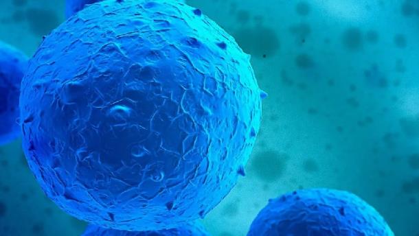 廣州達博生物制品有限公司