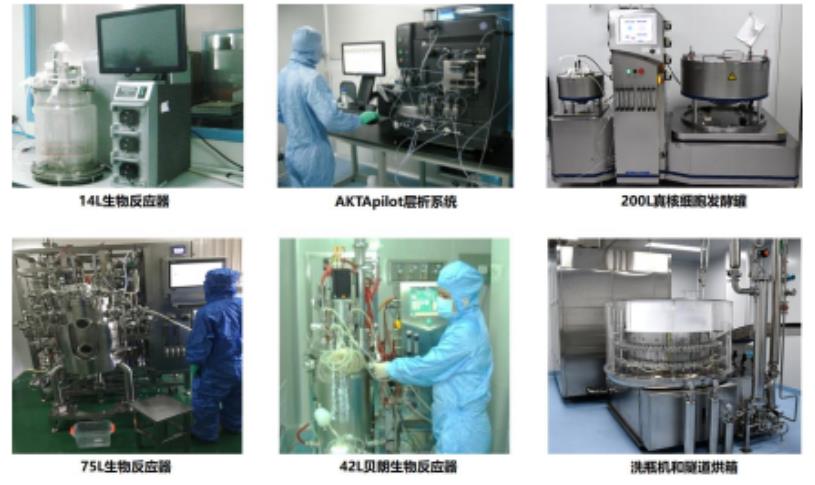 達博生物 CDMO 服務(wù)平臺