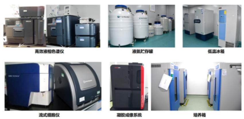 達博生物 CDMO 服務(wù)平臺