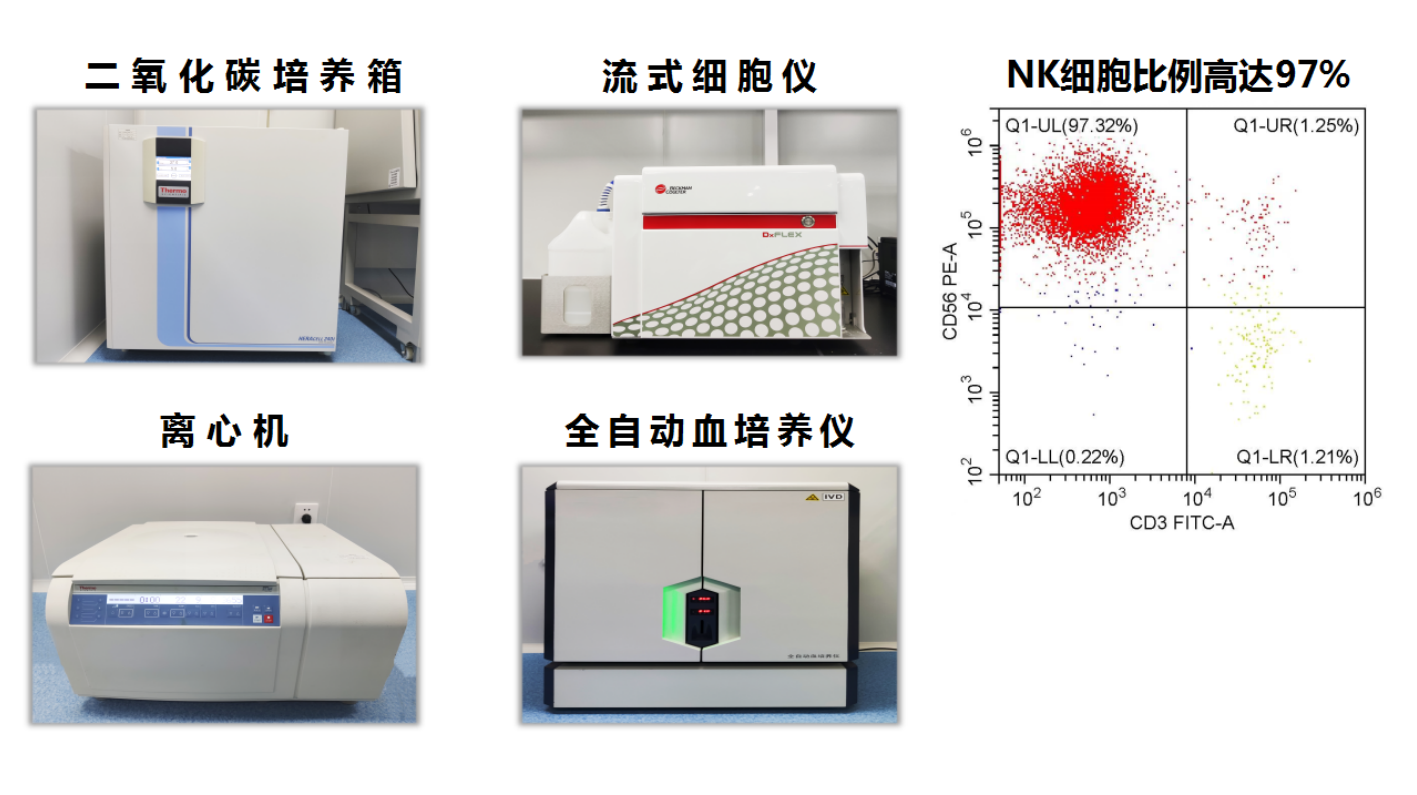免疫細胞技術平臺