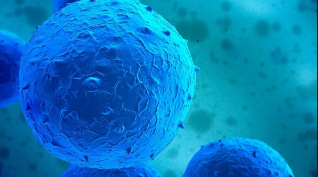 達博生物人臍帶間充質干細胞Ⅰ期臨床研究啟動會順利召開！